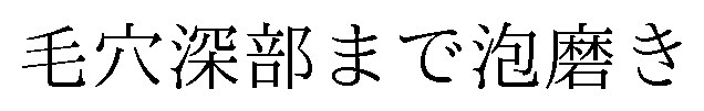 毛穴深部まで泡磨き 商願2024-135316の商標見本