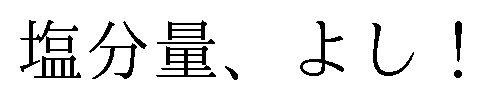 塩分量、よし! 商願2024-136080の商標見本