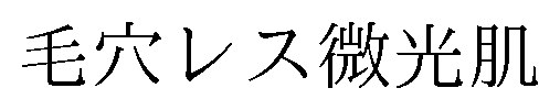 毛穴レス微光肌 商願2024-136630の商標見本
