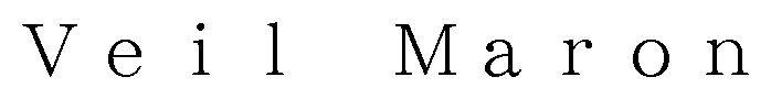 Veil Maron 商願2024-137553の商標見本