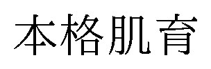 本格肌育 商願2024-138159の商標見本