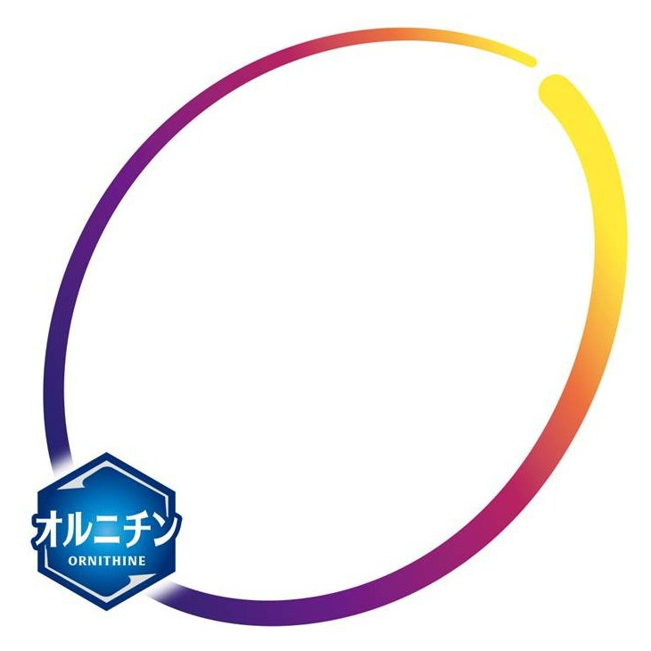 オルニチン ORNITHINE 商願2024-139138の商標見本