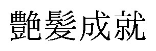 艶髪成就 商願2024-139256の商標見本