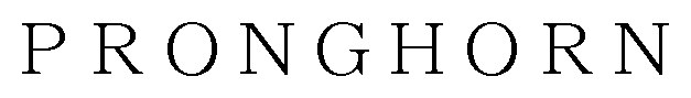 PRONGHORN 商願2024-139868の商標見本