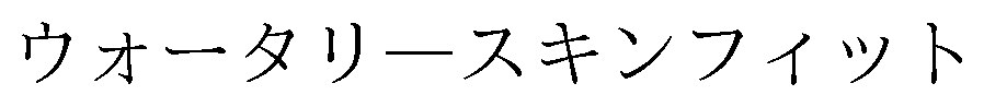ウォータリースキンフィット 商願2024-140628の商標見本