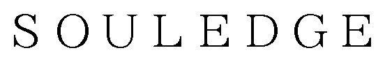 SOULEDGE 商願2025-003187の商標見本