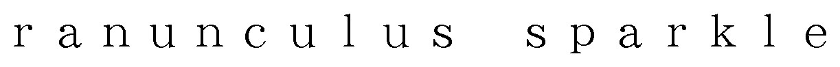 ranunculus sparkle 商願2025-003307の商標見本