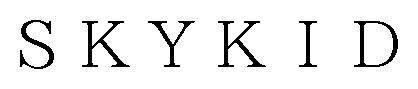 SKYKID 商願2025-003821の商標見本