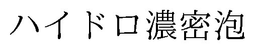 ハイドロ濃密泡 商願2025-006024の商標見本
