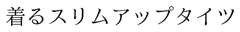 着るスリムアップタイツ 商願2025-006322の商標見本