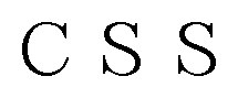 CSS 商願2025-006885の商標見本