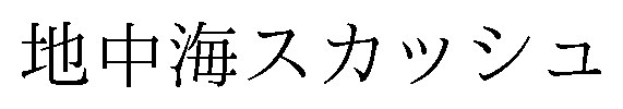 地中海スカッシュ 商願2025-010991の商標見本