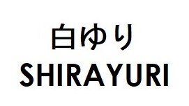 白ゆり SHIRAYURI 商願2025-013318の商標見本