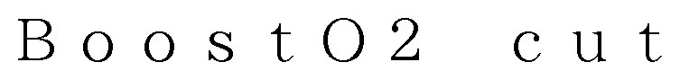 TCut Bo0st02 商願2025-014186の商標見本