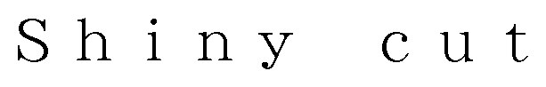 Shiny cut 商願2025-014187の商標見本
