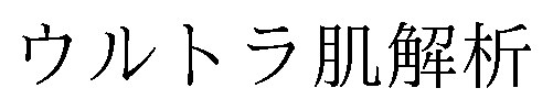 ウルトラ肌解析 商願2025-016937の商標見本