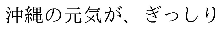 沖縄の元気が、ぎっしり 商願2025-016953の商標見本