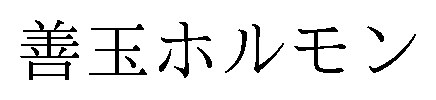 善玉ホルモン 商願2025-017657の商標見本