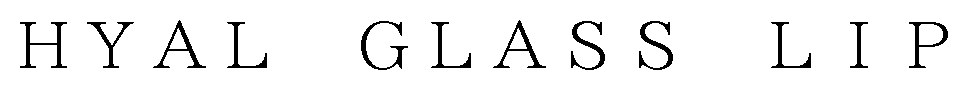 HYAL GLASS LIP 商願2025-019726の商標見本