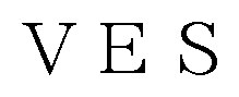 VES 商願2025-020690の商標見本