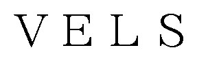 VELS 商願2025-020691の商標見本