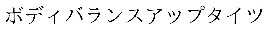 ボディバランスアップタイツ 商願2025-021457の商標見本