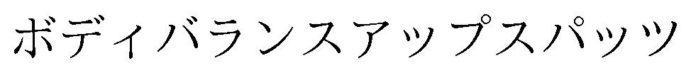 ボディバランスアップスパッツ 商願2025-021713の商標見本