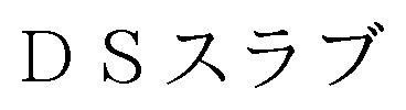 DSスラブ 商願2025-023245の商標見本