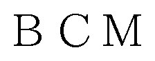 BCM 商願2025-028132の商標見本