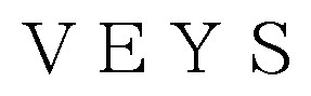 VEYS 商願2025-028137の商標見本