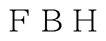 FBH 商願2025-032211の商標見本