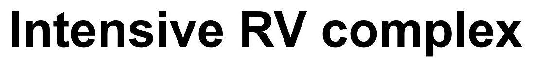Intensive RV complex 商願2025-035049の商標見本