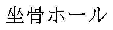 坐骨ホール 商願2025-035211の商標見本