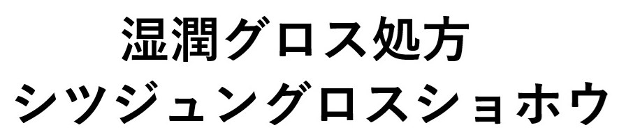 湿潤グロス処方 シツジュングロスショホウ 商願2025-038216の商標見本
