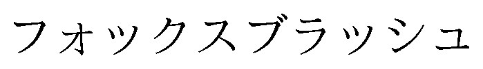 フォックスブラッシュ 商願2025-040136の商標見本