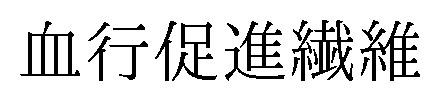血行促進繊維 商願2025-041327の商標見本