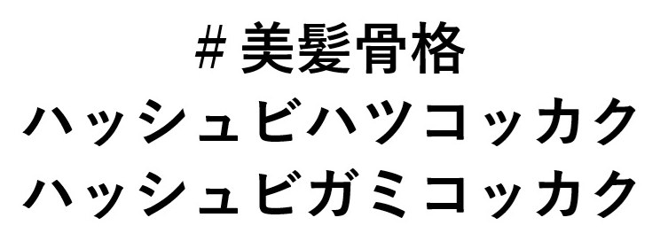 #美髪骨格 ハッシュビハツコッカク ハッシュビガミコッカク 商願2025-044976の商標見本