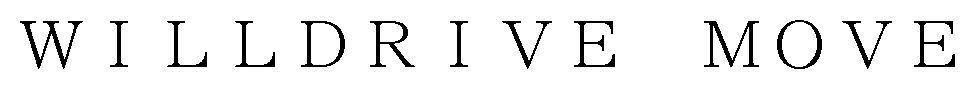 WILLDRIVE MOVE 商願2025-045958の商標見本