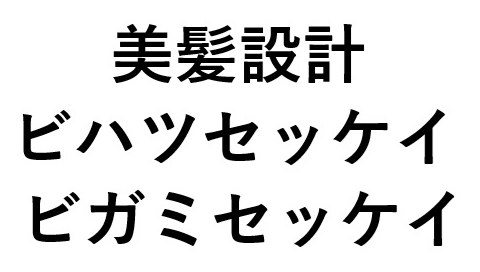 美髪設計 ビハツセッケイ ビガミセッケイ 商願2025-046214の商標見本