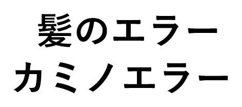 髪のエラー カミノエラー 商願2025-046217の商標見本