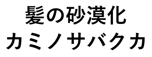 髪の砂漠化 カミノサバクカ 商願2025-046223の商標見本