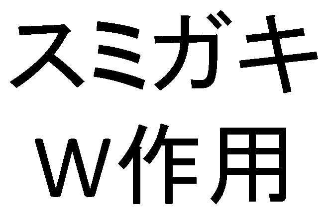 スミガキ W作用 商願2025-048085の商標見本