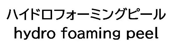 ハイドロフォーミングピール hydro foaming peel 商願2025-050715の商標見本