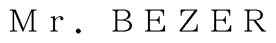 Mr BEZER 商願2025-051094の商標見本
