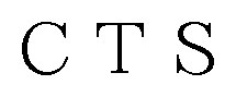 CTS 商願2025-053326の商標見本