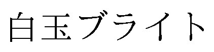 白玉ブライト 商願2025-057628の商標見本