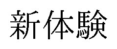 新体験 商願2025-057733の商標見本