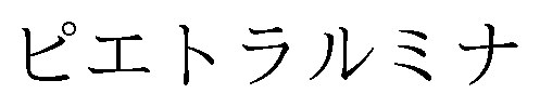 ピエトラルミナ 商願2025-058055の商標見本