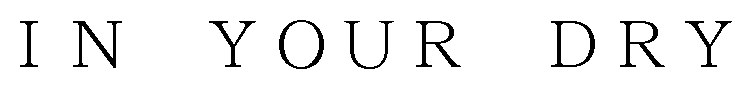 IN YOUR DRY 商願2025-060353の商標見本