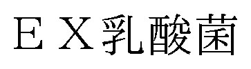 EX乳酸菌 商願2025-066512の商標見本